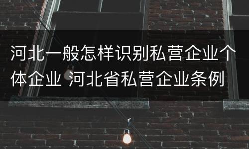河北一般怎样识别私营企业个体企业 河北省私营企业条例