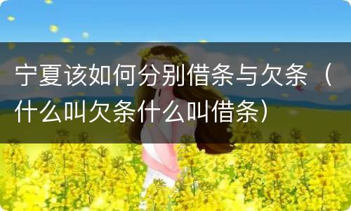 宁夏该如何分别借条与欠条（什么叫欠条什么叫借条）