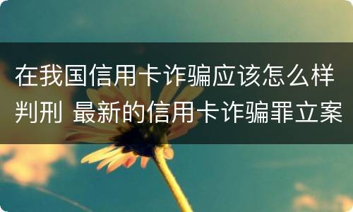 在我国信用卡诈骗应该怎么样判刑 最新的信用卡诈骗罪立案量刑标准