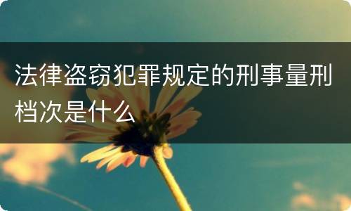 法律盗窃犯罪规定的刑事量刑档次是什么