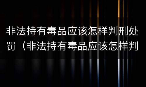 非法持有毒品应该怎样判刑处罚(非法持有毒品应该怎样判刑处罚决定书)