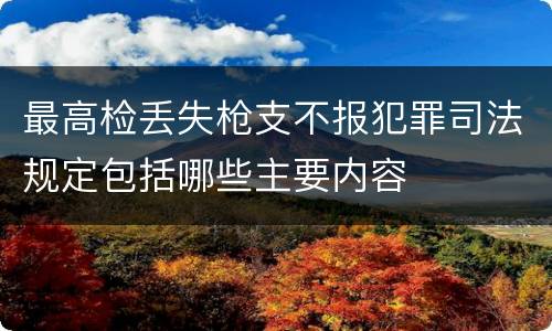 最高检丢失枪支不报犯罪司法规定包括哪些主要内容