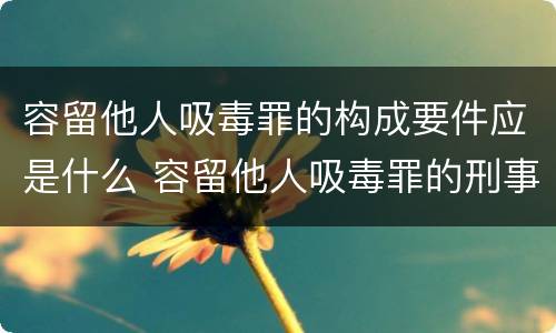 容留他人吸毒罪的构成要件应是什么 容留他人吸毒罪的刑事责任