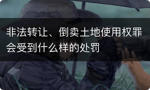 非法转让、倒卖土地使用权罪会受到什么样的处罚