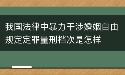 我国法律中暴力干涉婚姻自由规定定罪量刑档次是怎样