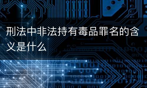 刑法中非法持有毒品罪名的含义是什么