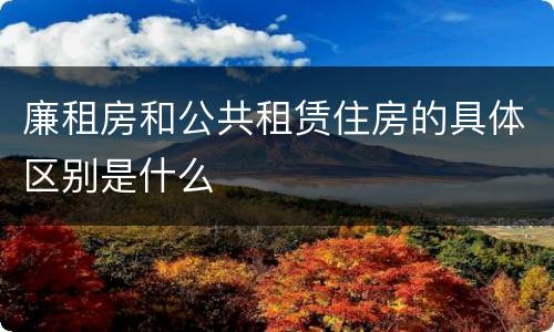廉租房和公共租赁住房的具体区别是什么