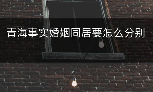 青海事实婚姻同居要怎么分别
