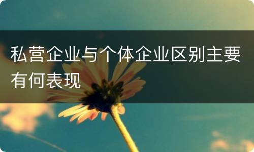 私营企业与个体企业区别主要有何表现