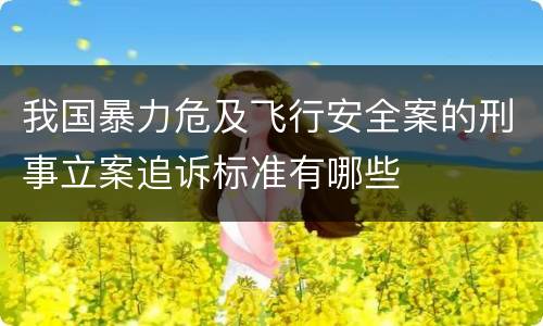 我国暴力危及飞行安全案的刑事立案追诉标准有哪些