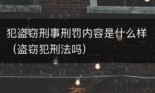犯盗窃刑事刑罚内容是什么样（盗窃犯刑法吗）