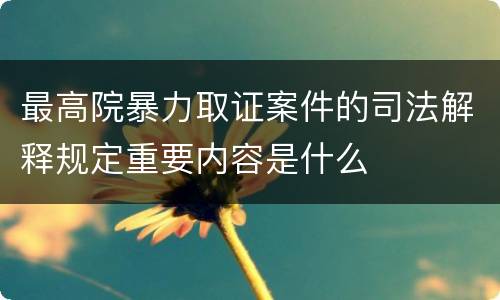 最高院暴力取证案件的司法解释规定重要内容是什么