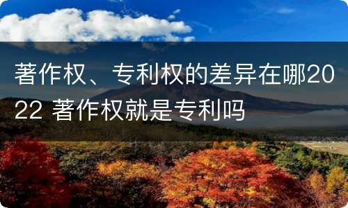 著作权、专利权的差异在哪2022 著作权就是专利吗