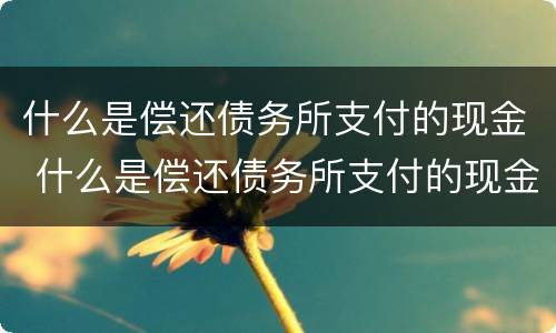 什么是偿还债务所支付的现金 什么是偿还债务所支付的现金流量