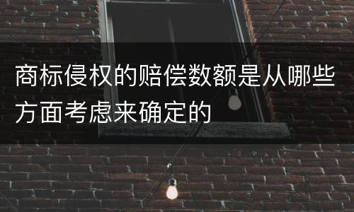 商标侵权的赔偿数额是从哪些方面考虑来确定的