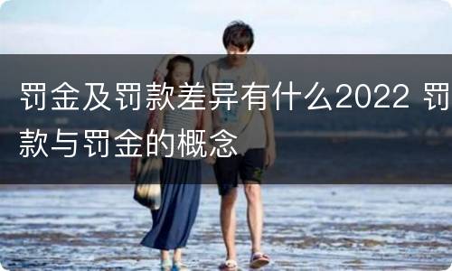 罚金及罚款差异有什么2022 罚款与罚金的概念