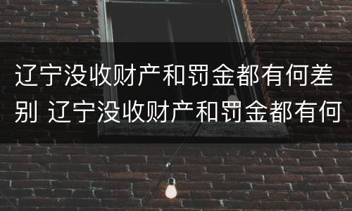 辽宁没收财产和罚金都有何差别 辽宁没收财产和罚金都有何差别呢