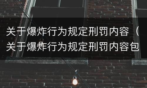 关于爆炸行为规定刑罚内容（关于爆炸行为规定刑罚内容包括）