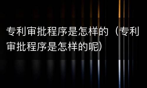 专利审批程序是怎样的（专利审批程序是怎样的呢）