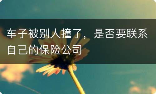 车子被别人撞了，是否要联系自己的保险公司