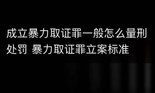 成立暴力取证罪一般怎么量刑处罚 暴力取证罪立案标准