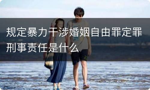 规定暴力干涉婚姻自由罪定罪刑事责任是什么