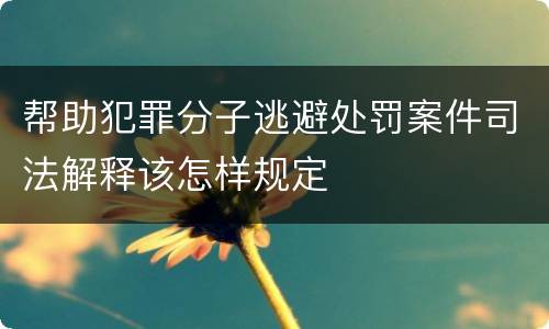 帮助犯罪分子逃避处罚案件司法解释该怎样规定
