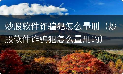 炒股软件诈骗犯怎么量刑（炒股软件诈骗犯怎么量刑的）