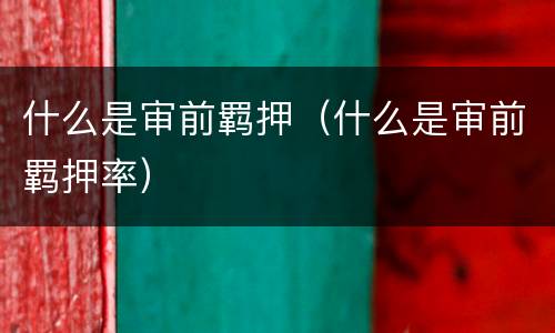 什么是审前羁押（什么是审前羁押率）