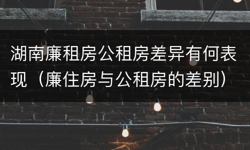 湖南廉租房公租房差异有何表现（廉住房与公租房的差别）