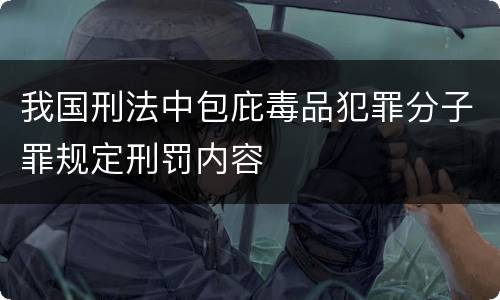 我国刑法中包庇毒品犯罪分子罪规定刑罚内容