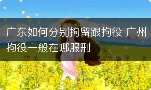 广东如何分别拘留跟拘役 广州拘役一般在哪服刑