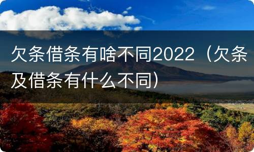 欠条借条有啥不同2022（欠条及借条有什么不同）