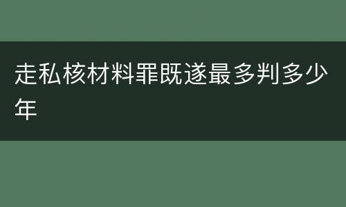 走私核材料罪既遂最多判多少年