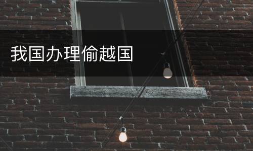 我国办理偷越国