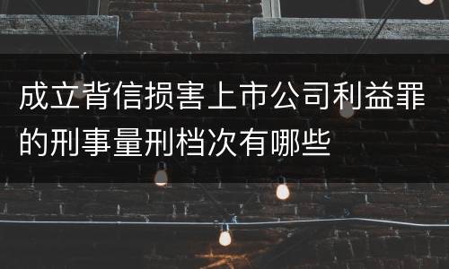 成立背信损害上市公司利益罪的刑事量刑档次有哪些
