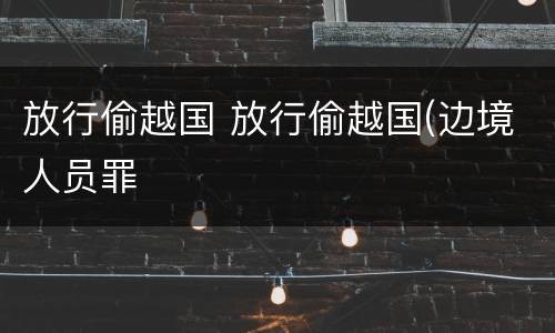 放行偷越国 放行偷越国(边境人员罪