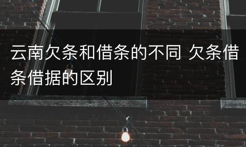 云南欠条和借条的不同 欠条借条借据的区别