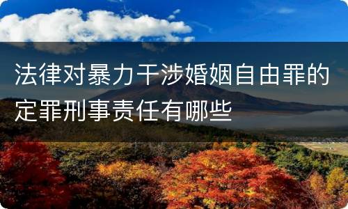 法律对暴力干涉婚姻自由罪的定罪刑事责任有哪些