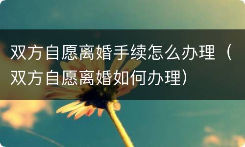 双方自愿离婚手续怎么办理（双方自愿离婚如何办理）