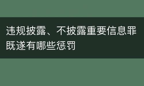 违规披露、不披露重要信息罪既遂有哪些惩罚