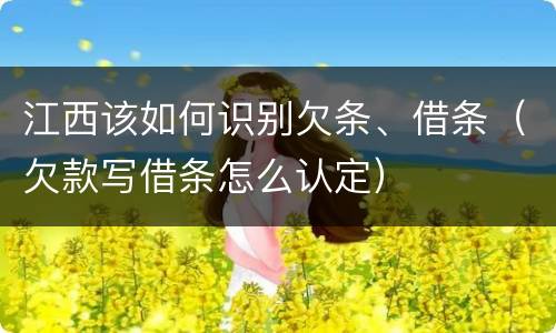 江西该如何识别欠条、借条（欠款写借条怎么认定）