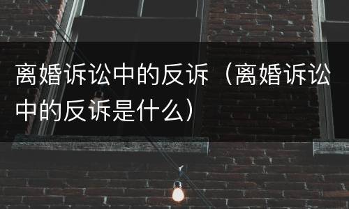离婚诉讼中的反诉（离婚诉讼中的反诉是什么）