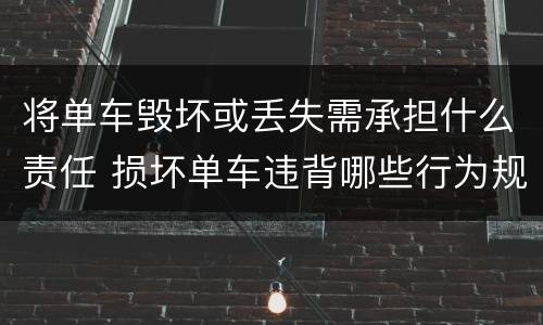 将单车毁坏或丢失需承担什么责任 损坏单车违背哪些行为规范