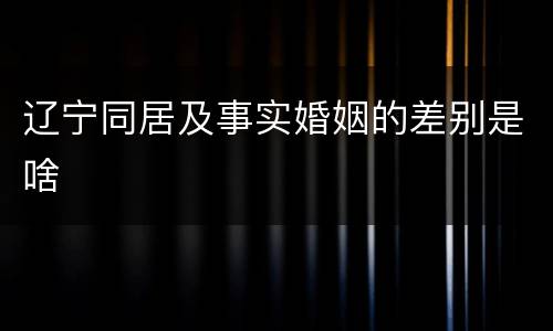 辽宁同居及事实婚姻的差别是啥