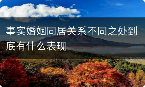 事实婚姻同居关系不同之处到底有什么表现