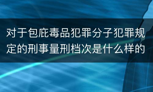 对于包庇毒品犯罪分子犯罪规定的刑事量刑档次是什么样的
