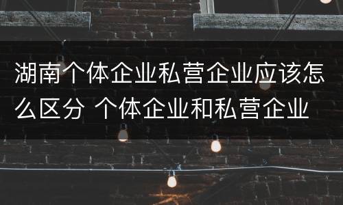湖南个体企业私营企业应该怎么区分 个体企业和私营企业