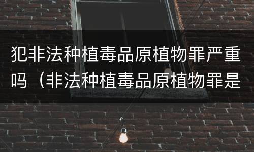 犯非法种植毒品原植物罪严重吗（非法种植毒品原植物罪是什么犯罪类型）