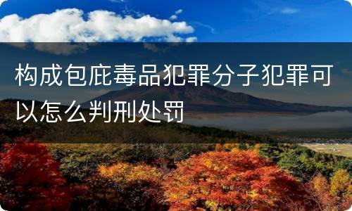 构成包庇毒品犯罪分子犯罪可以怎么判刑处罚